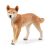 Schleich Wild Life Dingo Figure