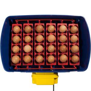 Brutmaschine für 24 Eier mit automatischem Bewässerungssystem, mit professionellem 100 Watt Bewässerungssystem 94194719 Nutztierhaltung