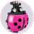 Close-up of Ricokids 3-in-1 scooter ladybug basket, pink