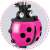 Close-up of Ricokids 3-in-1 scooter ladybug basket, pink