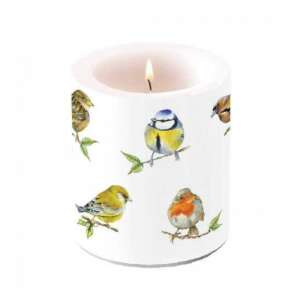 Fehér oszlopos gyertya madárfajok mintával, 10x10cm - Ambiente