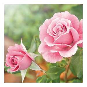 Rózsák a kertben papírszalvéta, 33x33cm, 20db-os - Szalvéta