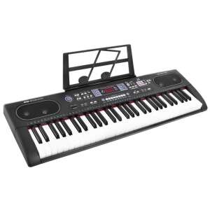 Synthesizer with USB input and microphone