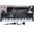 MD-012FM 61-key electronic keyboard with microphone, music workstation, FM radio