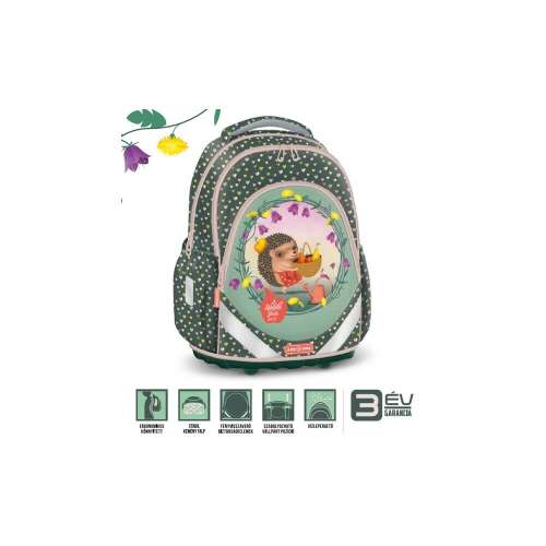 Rucsac de scoala Ars Una Anatomy Apple Pie, 33 x 45 x 20 cm, Multicolor