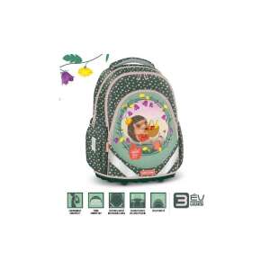 Rucsac de scoala Ars Una Anatomy Apple Pie, 33 x 45 x 20 cm, Multicolor