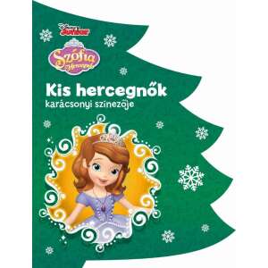 Disney - Kis hercegnők karácsonyi színezője 45490800 "hercegnők"  Foglalkoztató füzet, kifestő-színező