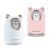White and Pink USB Bear Humidifiers