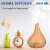 Aroma Diffusor aus hellem Holz, 500 ml Kapazität, erzeugt frische Luft und Duft