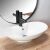 Rea Rosa Oval Countertop Washbasin with black faucet
