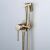 Lunga Loop Arany Brushed Gold Bidet Spray installed
