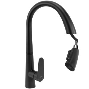 REA Ross Black Kitchen Faucet with Pull-Down Sprayer - Nonbrand Faucet
