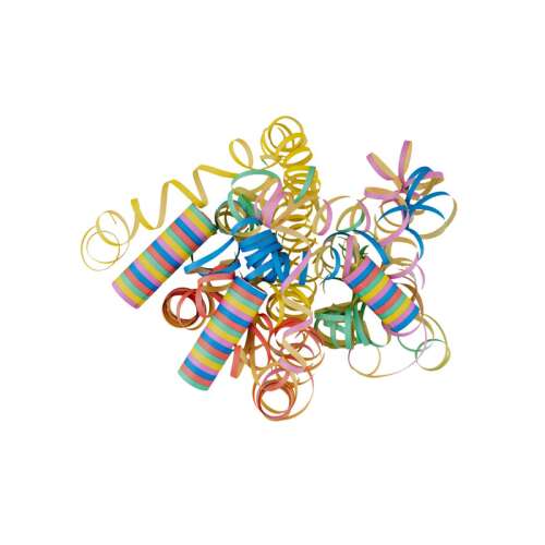 Serpentin dungi colorate 54 buc