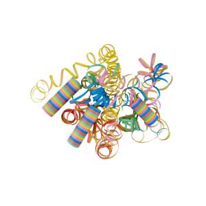 Serpentine colorate pentru petreceri, 54 bucăți, perfecte pentru zile de naștere, aniversări și sărbători - Accesorii pentru petrecere