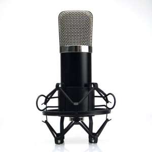 Professional condenser microphone, black, studio recording, singing, podcasting - Microphone
