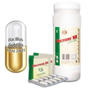 Probiotikum Vetom 1.1 kapsułki 50 ziaren (suplement diety) 96679961 - Uroda i zdrowie