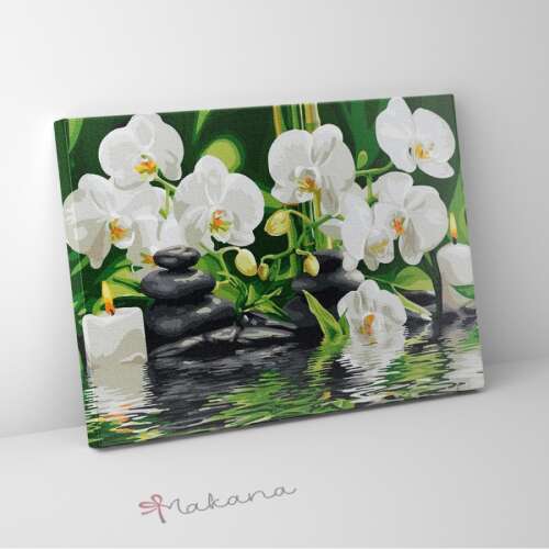 Orchidea a vízen - Számfestő készlet, kerettel (30x40 cm)