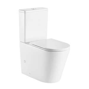 Wellis Clement monoblokkos Rimless WC, Wand-WC mit verdecktem Spülkasten, weißes Porzellan - Wellis