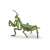 Papo Praying Mantis Figurine, green and brown, realistic detail, for kids and collectors