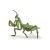 Papo Praying Mantis Figure - Collectible Model - 8 cm