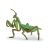 Detailed Papo Praying Mantis Figure for Collectors
