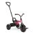 Qplay Ant Plus rose tricycle with adjustable parent handle