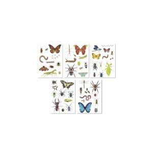 APLI Kids újrahasználható rovar matricák, 50 db, nagyszerűek a rovarok és élőhelyeik megismeréséhez - APLI