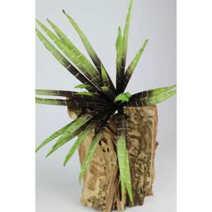 Mű Anyósnyelv - Sansevieria - Dekoráció - 80cm