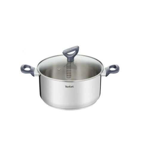 Tefal Daily Cook 24 cm stainless steel pot with glass lid