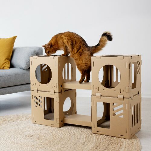 Cat exploring Navaris modular cardboard cat house