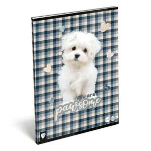 LizzyCard Pawsome Kiskutya Füzet - A/4 - 32 Lapos Kockás