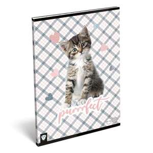 Lizzy - Cicás Füzet - Vonalas - A/4