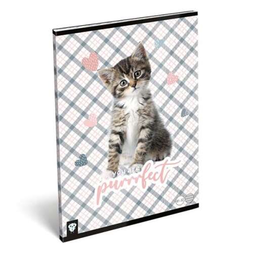 LIZZY CARD A/4-es méretű 32 lapos vonalas füzet macska mintával