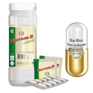  Probiotice Vetom 2 capsule 50  (supliment alimentar) 96679953 - Plângeri digestive