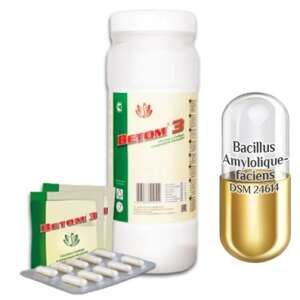 Probiotice Vetom 3 capsule  50  (supliment alimentar) 96679946 - Plângeri digestive