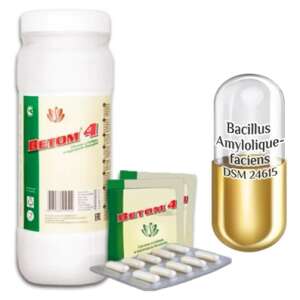 Vetom 4 Probiotik Kapsule – 50 kom 96679945 - Problem s probavom