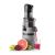 ETA Vitalic 4032 slow juicer with fruits