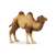 Papo Bactrian Camel Figurine, realistic animal toy for kids
