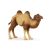 Papo Bactrian Camel Toy Figure - Collectible Animal Model