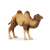 Papo Bactrian Camel Figurine
