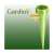 Green self watering spike for plants, Gardlov brand