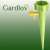 Green self watering spike for plants, Gardlov brand