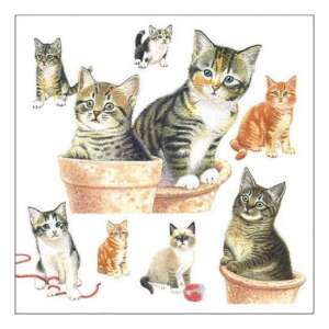 Cuki cicák mintás papírszalvéta, 20 darabos csomagolásban - Szalvéta