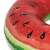 Bestway 36121 Melón nafukovací plavecký kruh detail