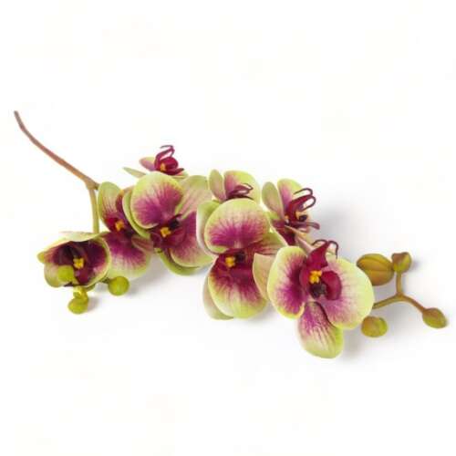 Mű lepke orchidea szál gumibevonatos közepes 68 cm - zöld