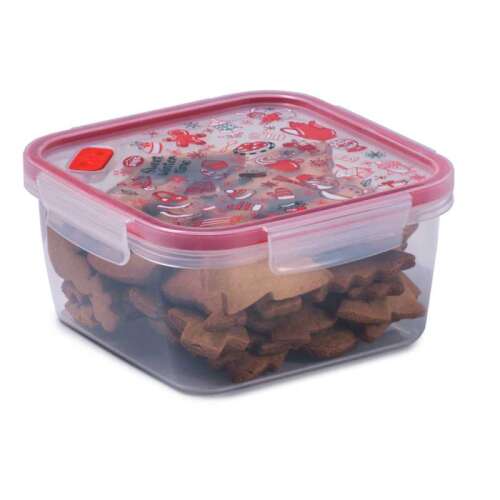 Snips 000225 1,4 Liter quadratische Plastik-Aufbewahrungsbox mit Winterdesign
