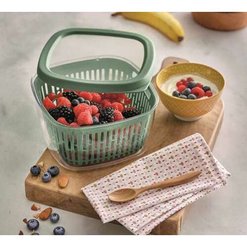 Snips 000766 storage box, 1.5 litres, with removable basket, green