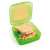 Snips green sandwich box with sandwich inside, 0.5 liter, BPA free, microwave safe, dishwasher safe, freezer safe