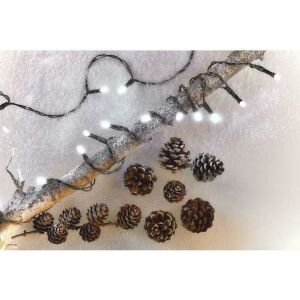 Instalatie de Craciun, Emos, IP20, 10m, Alb rece 118369265 - EMOS Ghirlande luminoase