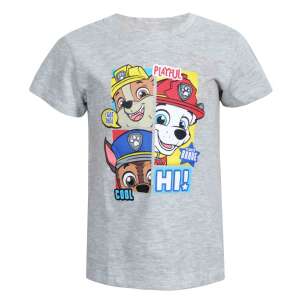 Nickelodeon Paw Patrol тениска с къс ръкав за момчета, с изображения на Chase, Marshall, Skye и Rubble - Бебе & Малко дете